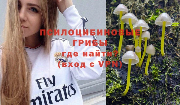 спайс Абаза