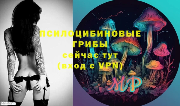 спайс Абаза