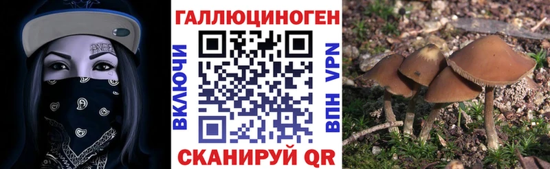 Псилоцибиновые грибы прущие грибы  Зеленокумск 