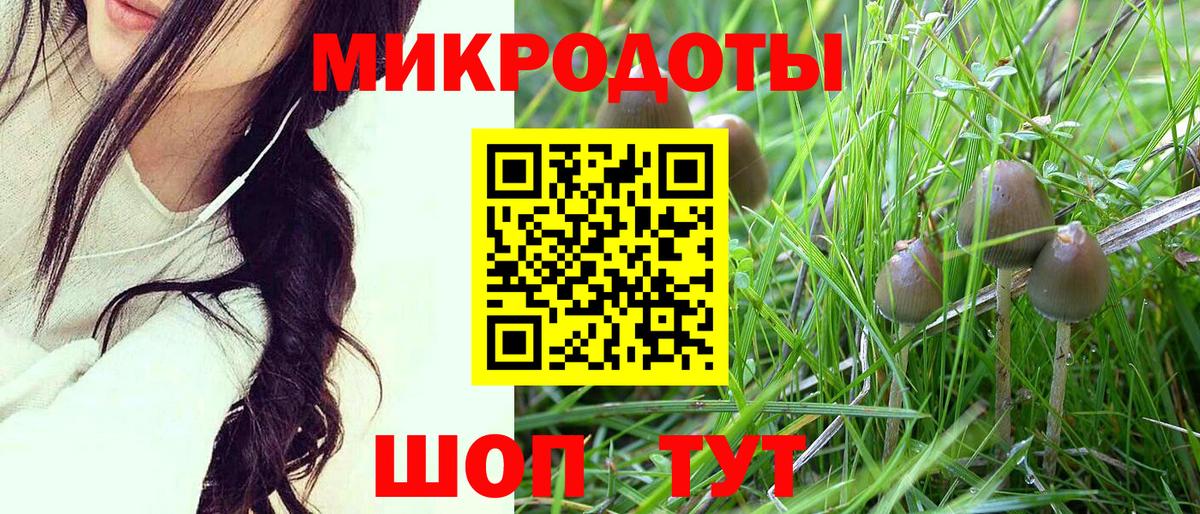 Галлюциногенные грибы прущие грибы Зеленокумск