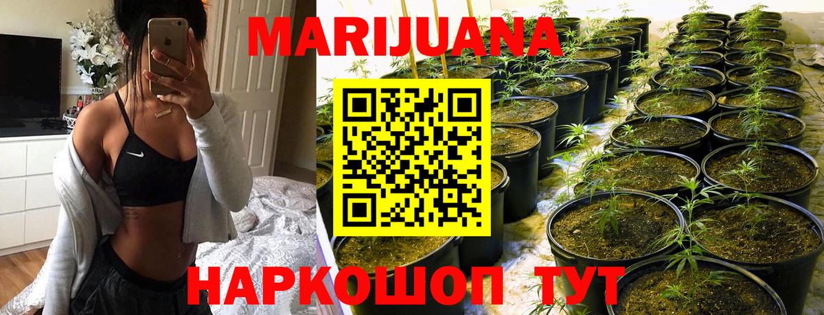 Бошки марихуана тримм Зеленокумск
